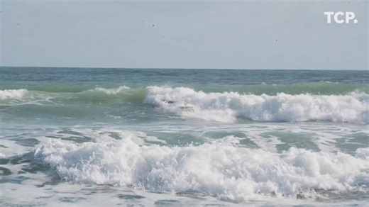 The Fort Pierce Surfing Santas returned to Fort Pierce Inlet State Park to catch waves and entertain crowds on Christmas Eve morning. See photos: https://www.tcpalm.com/picture-gallery/news/local/florida/2025/12/24/surfing-santas-hit-the-beach-christmas-eve-in-fort-pierce-florida/87908338007/?utm_campaign=trueanthem&utm_medium=social&utm_source=facebook | TCPalm
