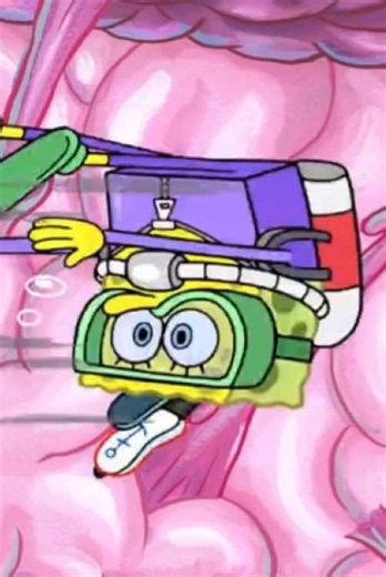 SpongeBob Cartoon Edit — Funny SpongeBob Clips Compilation
