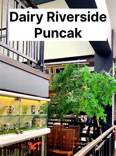 Explore Cimory Dairyland at dairyland🐑🐐your educational family tourist park! We have 10 exciting🫠 Dairyland locations throughout Indonesia, including Dairyland Riverside in Bogor, West Java. 🐇👍 #realwayxdairyriversidepuncak #dairyriversidepuncak #cimorydairyland #riversidepuncak #cimoryriversidecisaruapuncak @realwaymediaindonesia @dairyland.puncak