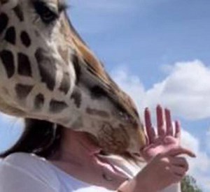 Slap in the face for bride-to-be