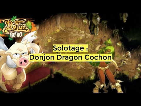 [DOFUS RETRO] Soloing the Pig Dragon on Dofus Retro - Sadi