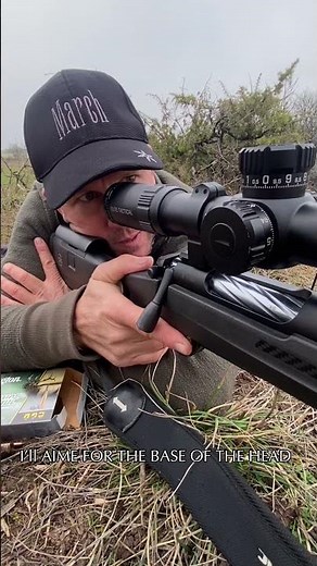 Tir Chevreuil en France - test #Bushnell #Remington #FBT #freyrdevik #rivolierchasse #ovini #shots