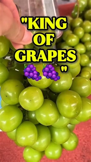 The CRUNCHIEST grapes ever! 🍇✨ #ShineMuscat #Guizhou