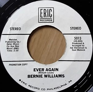 Bernie Williams - Ever Again