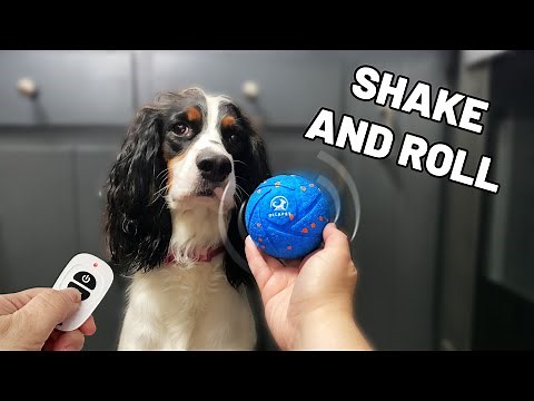 Remote Controlled Bouncing Ball For Dogs (Ollapet Review)