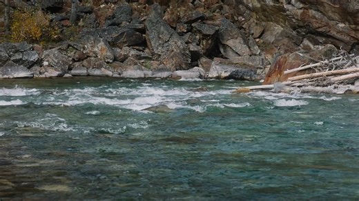 Земля / Land [2021, США, драма]