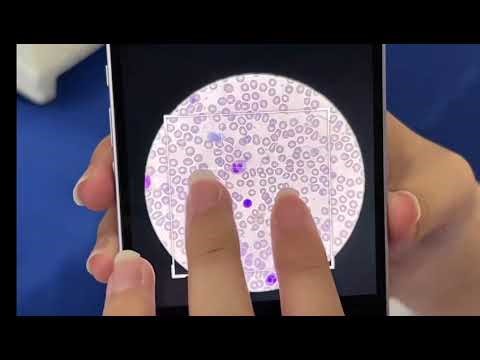A free and practical mobile AI cell identification tool.