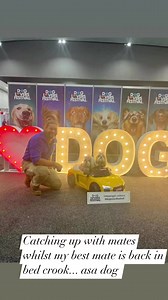 7.3K views · 140 reactions | Loving catching up with so many amazing humans and dogs at the Dog Lovers Festival, but it's a bit lonely without my mate Jimmy who has called in crook for the first time in his career at a K9 Ninja... hopefully he gets the most out if his rest day and is back with me in the VitaPet Arena tomorrow | Farmer Dave | Facebook