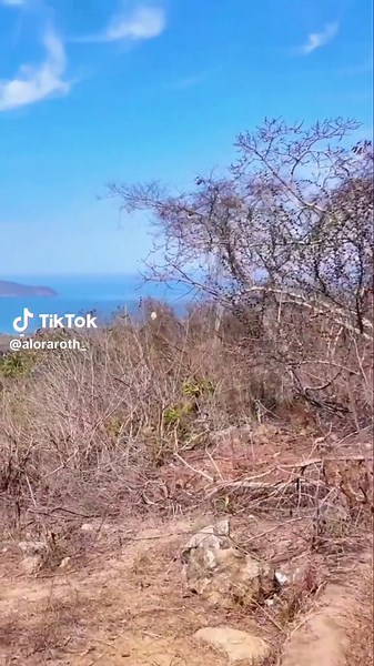 Alora Roth on TikTok