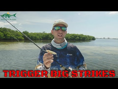 Topwater Lure Tips - How to Walk the Dog