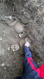 treasures found by treasure hunters | Tomb Hunter