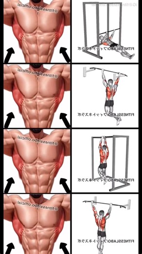 How to get HUGE LATS ✅ | Fit Pro