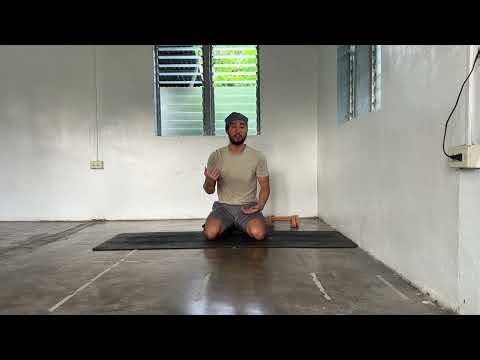 PSEUDO PLANCHE LEAN (KNEELING) TUTORIAL