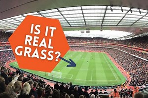 Are Premier League Pitches Real Grass?
