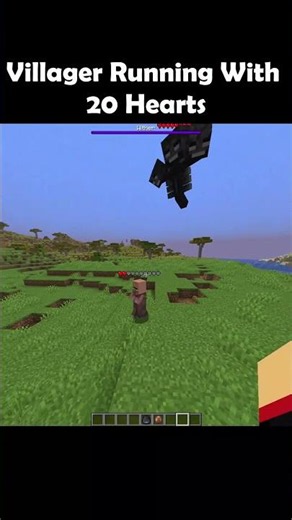 Villager vs Wither with 2 Hearts #minecraft #shorts