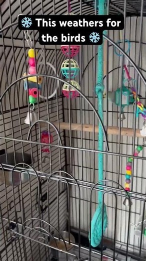 Waking up to weather in New England💙