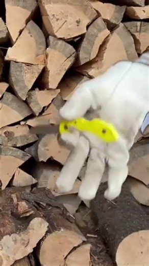 Serrated Dragon fly splitting wood #bushcraft #survival #woodworking #wood #minimalist #fypシ #usa