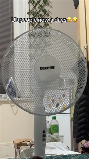 Exploring the UK Lifestyle: The Best of England