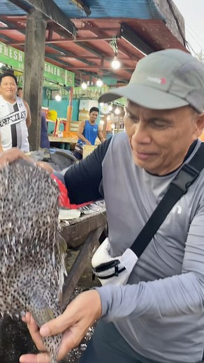 10K reactions · 364 shares | #tagotongan: PORCUPINE FISH ( TAGOTONGAN). | Mamita Lakwatsera | Facebook