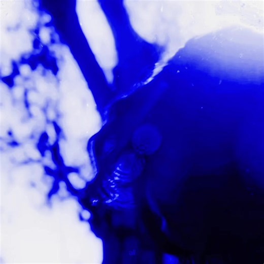 Ari Abdul unreleased clip — release this now