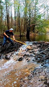 1.1M views · 8.7K reactions | Pond Beaver Dam On The Farm! || Beaver Dam Removal! #beaverdamremoval #beaverdam #damremoval #beavers #dam #drain #draining #water #nature #unclogging #creek #terrellspivey #viralreels #viralvideo #reels #fypシ゚ #foryoupageシ #fypシ #fbreels #viralFBvideo #FBVIDEO #viralfbreels #reelsviralfb #fbreelsfypシ゚viral #fb | Terrell Spivey | Facebook