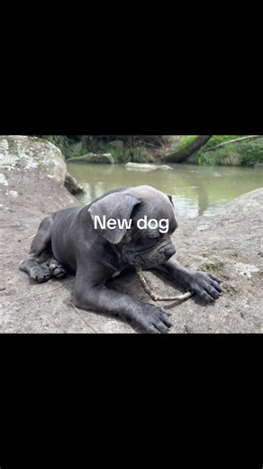 Jett spicer (@jsm88888)’s videos with sonido original - ⚡Albondiga95⚡