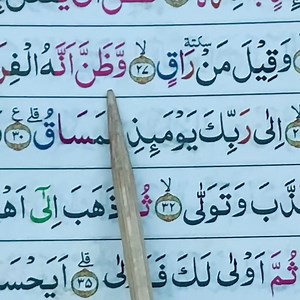 8.2K views · 1.4K reactions | Tadarus surah al-qiyamah pemesanan Quran tajwid hubungi kami di 081236474725 Program pembebasan tanah pondok pesantren yayasan ngaji gus Anas Indonesia di rek (451)7147585289 mandiri syariah atas nama yayasan ngaji gus Anas Indonesia semoga menjadi amal jariah amin untuk konfirmasi di 0812-3647-4725 | NGAJI online | Facebook