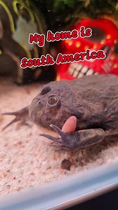 12K views · 298 reactions |  Don't call me ugly  This is "Psycho",...