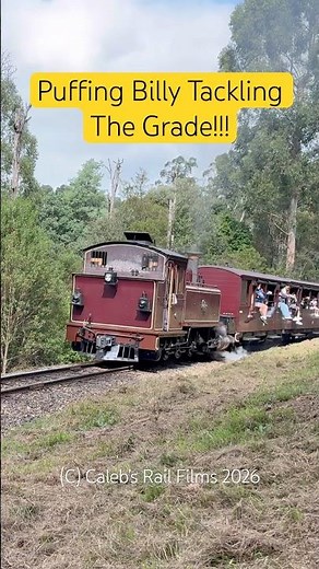 Puffing Billy Tackling The Grade! #steam #train #power #railway