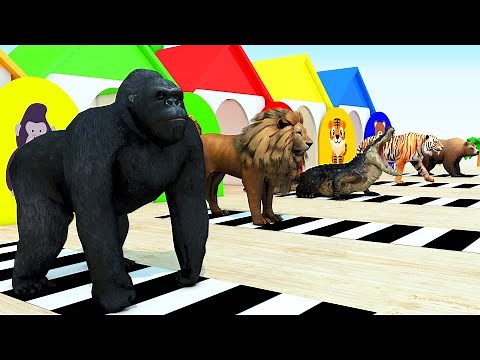 Con Voi | Nhạc Thiếu Nhi Sôi Động | Nhạc Thiếu Nhi Cho Bé Xem Vui Nhộn | Nursery Rhymes