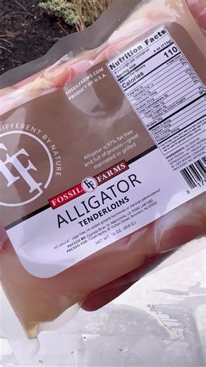 Would you try Alligator? 🐊 I dredged the alligator in buttermilk, seasoned flour and corn starch. Preheat your frying oil to 350-400 degrees and add the alligator. This will only take a few minutes to cook and the alligator will float when it’s done. This isn’t something that I would eat everyday but it’s great for something different. #alligator #getoutside #hookedonbbq