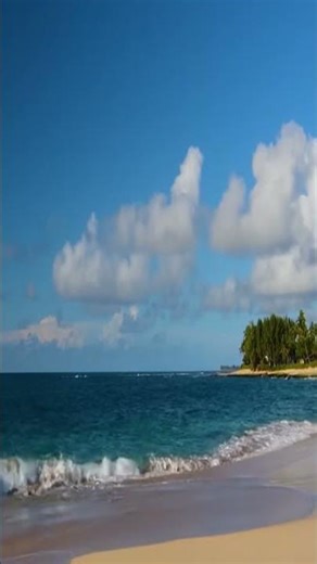 This ocean sound puts you to sleep instantly #relaxation #nature #asmr