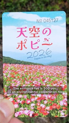 Near Tokyo🌸Poppies in the Sky 2026 (03)🌿Arrived at the "Poppies in the Sky" venue