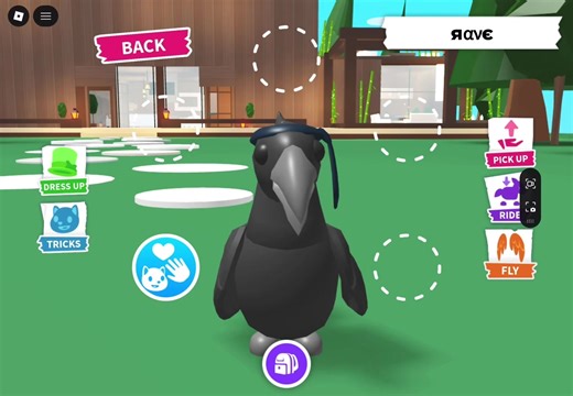 Adopting a Baby Crow: Tips and Insights