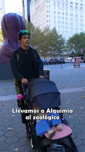 Los Polinesios on Instagram: "Primera vez de Alquimia en el zoológico🦭 #Polinesios #Alquimia"