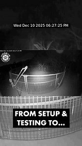 We had a customer receive their new HogEye Mini camera and in a hour of setting it up and testing it last night caught 20 pigs! Be ready with real time notifications and triggering. #hogeyecamera #hogeyemini #landmanagement #takebackcontrol #protectyourland #hogeyecameras | HogEye Trap Cameras