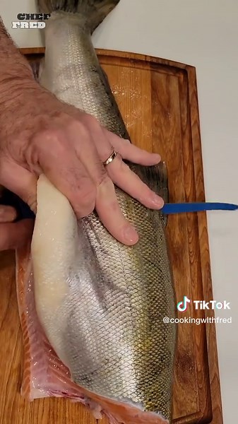 Mastering Fish Cutting Skills with Fresh Coho Salmon Filleting