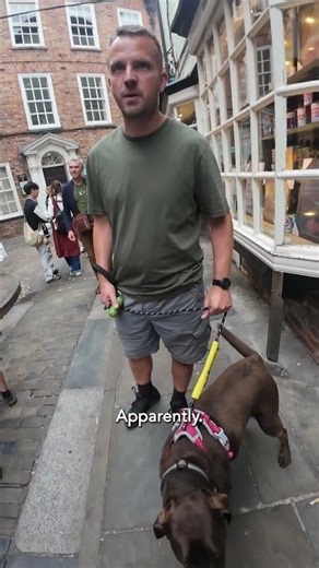 "She's blind but she's still happy and lively" 🥺🐾 #blinddog