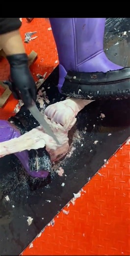 Bison hoof deboning technique #meat