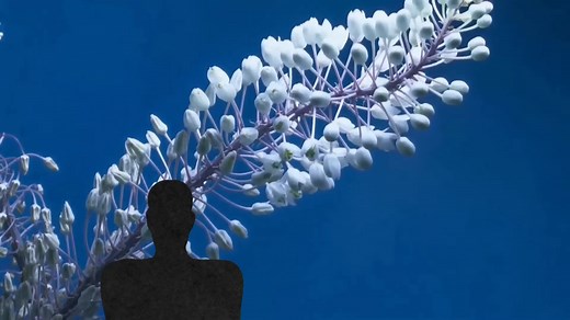 DIIV: Everyone Out（官方MV）