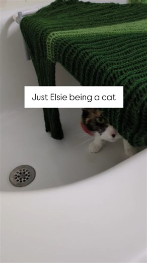 Elsie on Instagram: "No button presses. Just a reminder that Elsie is still just a cat. I was blocking a sweater I had made and it's the perfect cat hiding place. The only thing that would be better is if there was another sweater under it for her to make bed on. #cutecalico #crochet"