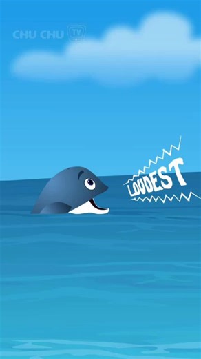 49K views · 334 reactions | Whales aren’t just big—they’re the loudest animals on Earth!  Their songs can travel across the ocean for miles and miles. #ChuChuTV #BabyTaku #Jumblikans #WhaleFacts #OceanAdventure #KidsLearning #FunFacts #SeaLife | ChuChu TV Kids Songs & Stories | Facebook