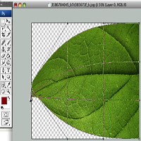 How to Create a 3D Leaf from a Texture Photograph - Screencast | Envato Tuts