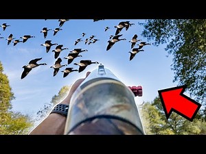 GOOSE HUNTING UP CLOSE AND PERSONAL! *Shot Cam*