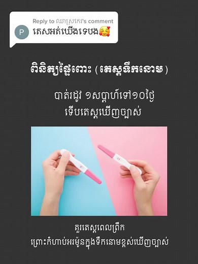 Understanding Pregnancy Tests: A Visual Guide