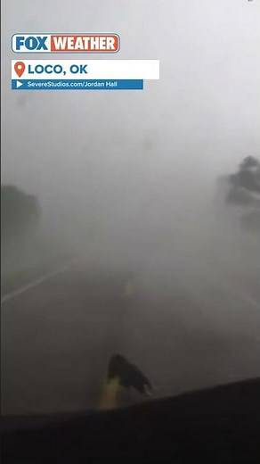 'Come Here, Doggy!': Storm Chasers Save Dog Caught In Oklahoma Tornado