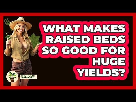 What Makes Raised Beds So Good For Huge Yields? - The Plant Enthusiast