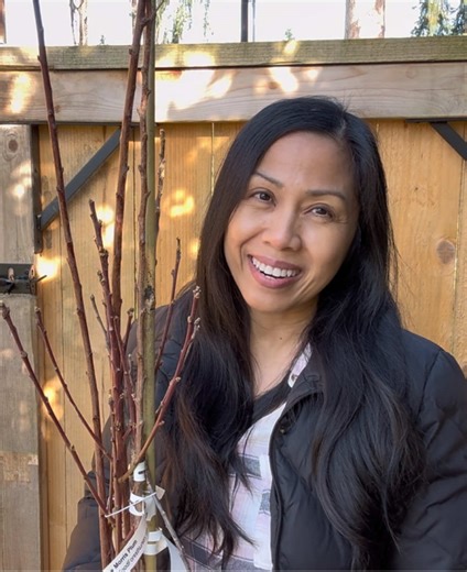 👋🏽 Just shared a video on YouTube about our new bare root fruit and nut trees! I hope you check it out, the link is in my stories and bio. Thank you! ❤️ #gardening #spring #fruits #fruittrees #fyp