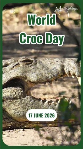 World Croc Day 2026: Champions of the Wetlands 🐊