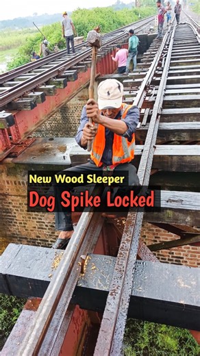 684K views · 2.9K reactions | Railway bridge new wood sleeper dog spike locked. #reels #railwaybridge #railtrack #dogespike #foryoupageシ | Saidur Rahman | Facebook